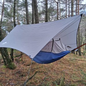 Tarp